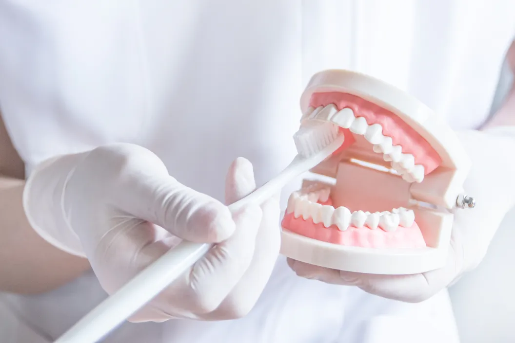 正しいブラッシング指導