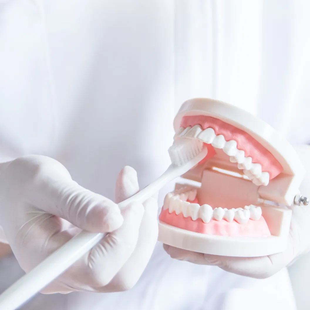 歯科衛生士を募集しています。